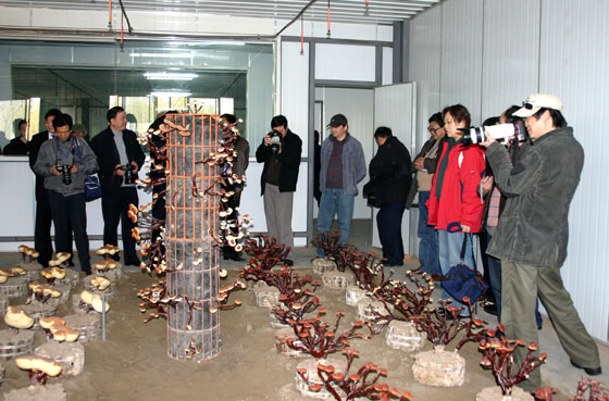 千亿球友会